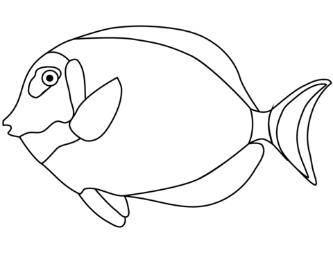 Tang Fish Coloring Page